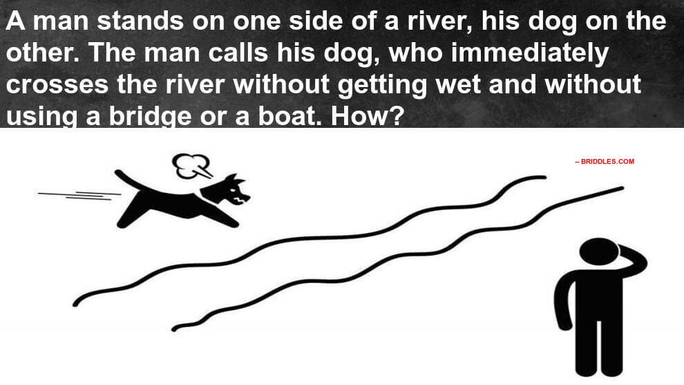 Answer Fast Dog River Brain Teaser