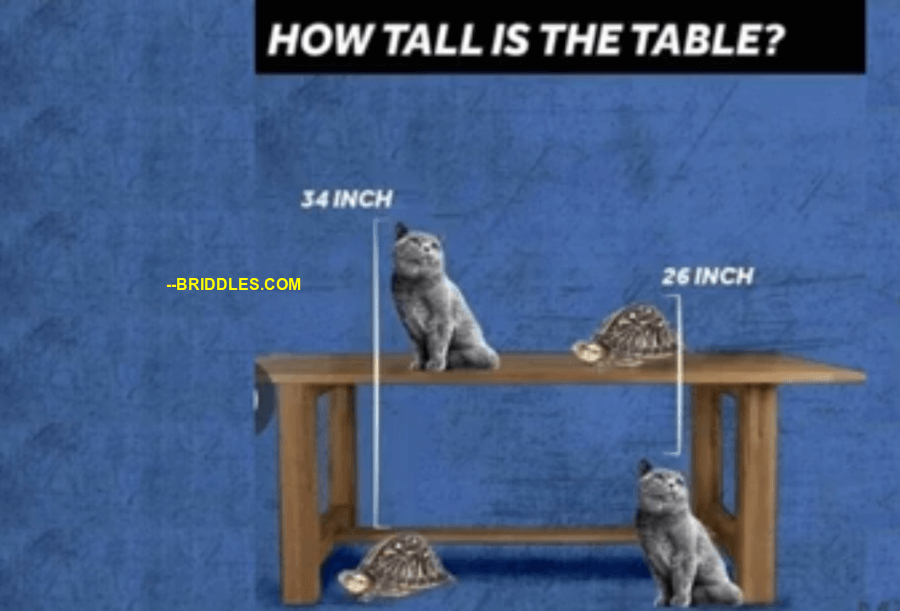 Calculate Table Height Problem