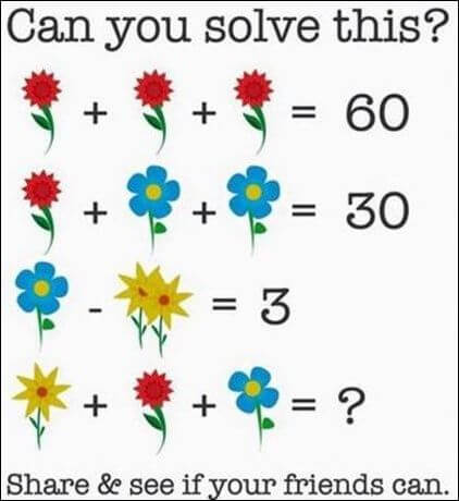 Flowers Maths Algebraic Puzzle