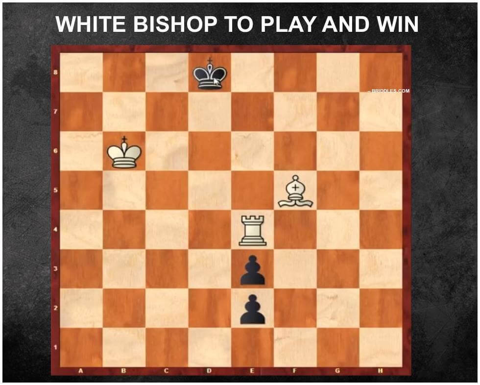 Hardest Chess Puzzle