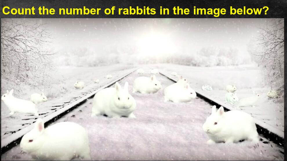 How Many Rabbits Can You See Riddle