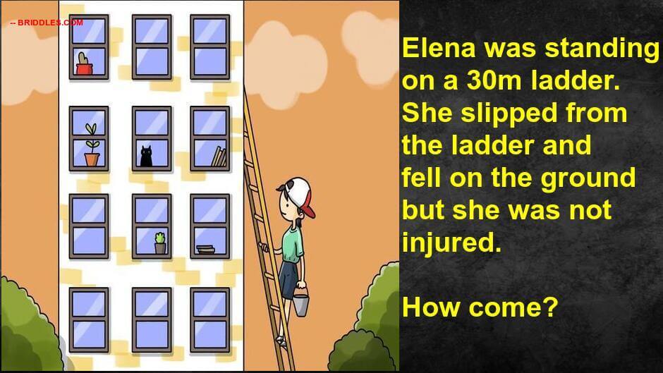 Slip Ladder Brain Teaser