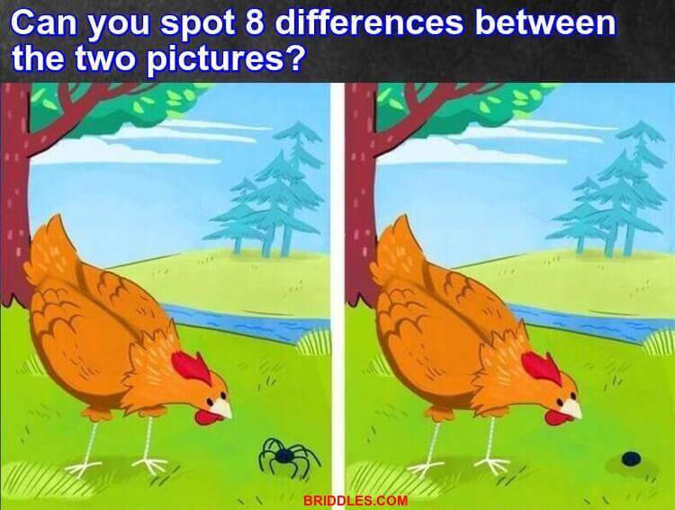 Tricky Find The 8 Differences