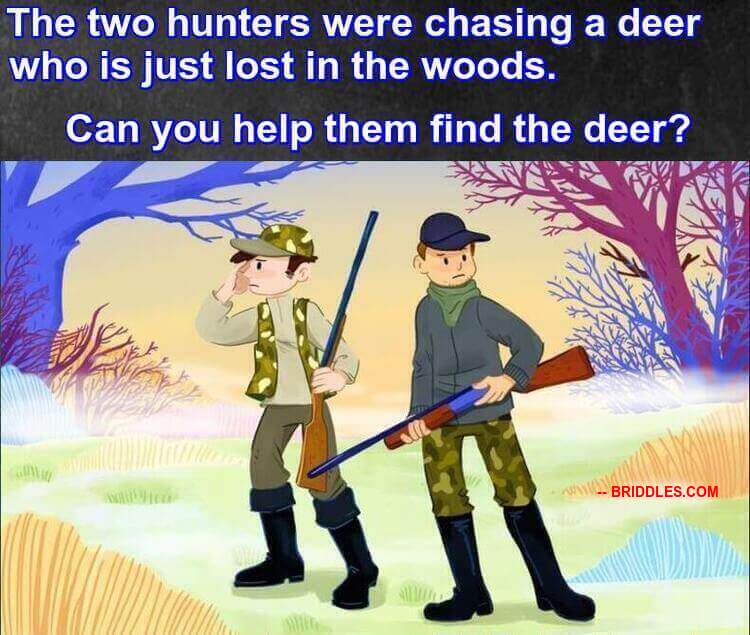 Two Hunters Deer Brain Teaser