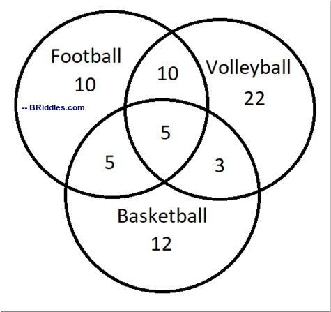 Venn Diagram Puzzle