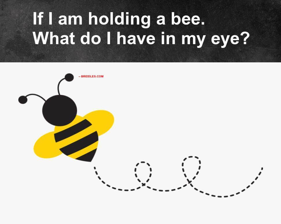 What In My Eye Bee Brain Teaser